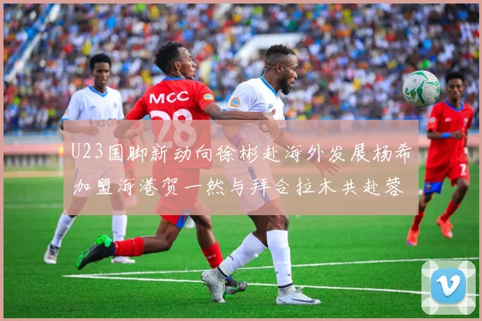 U23国脚新动向徐彬赴海外发展杨希加盟海港贺一然与拜合拉木共赴蓉城
